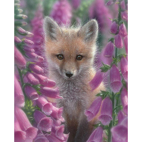 Red Fox - Foxgloves Black Modern Wood Framed Art Print by Bogle, Collin