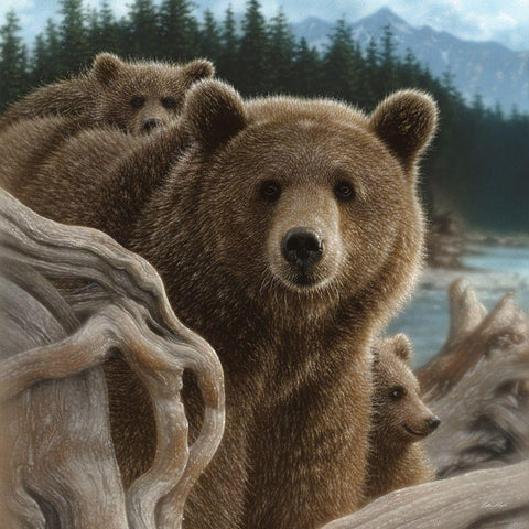 Brown Bears - Backpacking - Square Black Modern Wood Framed Art Print by Bogle, Collin