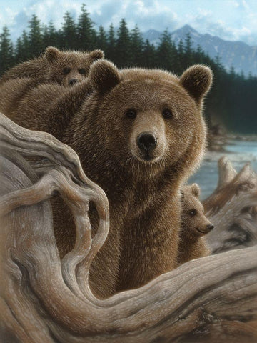 Brown Bears - Backpacking Black Ornate Wood Framed Art Print with Double Matting by Bogle, Collin