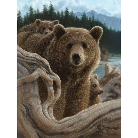 Brown Bears - Backpacking Black Modern Wood Framed Art Print by Bogle, Collin