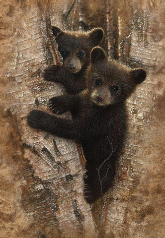 Curious Cubs Black Ornate Wood Framed Art Print with Double Matting by Bogle, Collin
