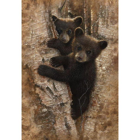Curious Cubs Black Modern Wood Framed Art Print by Bogle, Collin