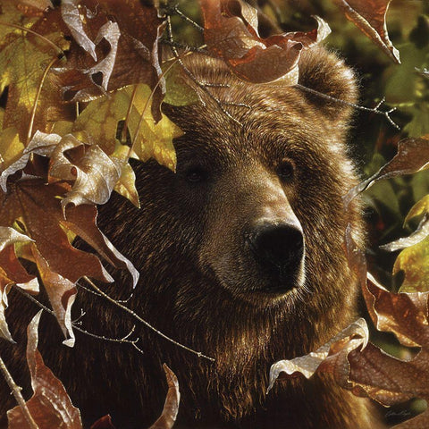 Legend of the Fall Black Modern Wood Framed Art Print by Bogle, Collin