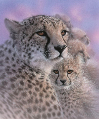 Cheetah Mother and Cubs - Mothers Love White Modern Wood Framed Art Print with Double Matting by Bogle, Collin