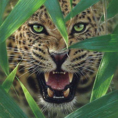 Jaguar - Ambush Black Ornate Wood Framed Art Print with Double Matting by Bogle, Collin