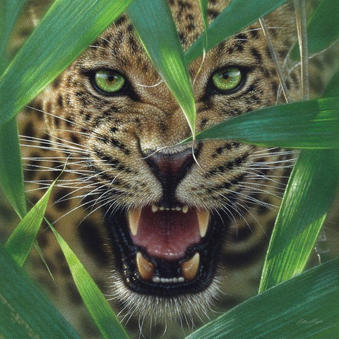 Jaguar - Ambush Black Modern Wood Framed Art Print by Bogle, Collin