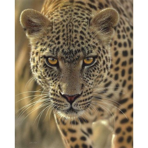 Leopard - On the Prowl Black Modern Wood Framed Art Print by Bogle, Collin
