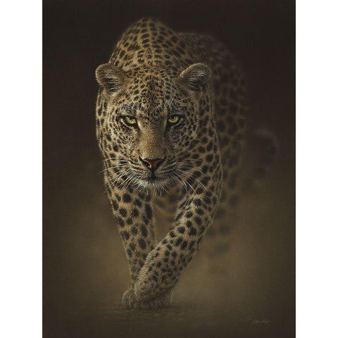 Leopard - Savage Black Modern Wood Framed Art Print by Bogle, Collin
