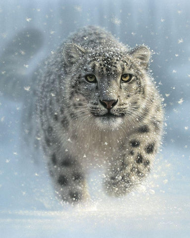 Snow Leopard - Snow Ghost - Vertical Black Ornate Wood Framed Art Print with Double Matting by Bogle, Collin