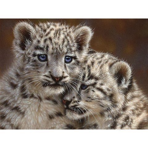 Snow Leopard Cubs - Playmates - Horizontal Black Modern Wood Framed Art Print by Bogle, Collin