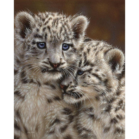 Snow Leopard Cubs - Playmates Black Modern Wood Framed Art Print by Bogle, Collin