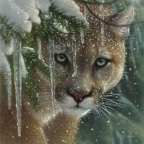 Cougar - Frozen White Modern Wood Framed Art Print with Double Matting by Bogle, Collin