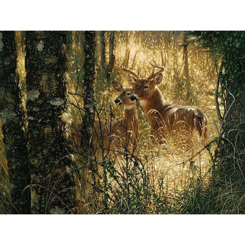 Whitetail Deer - A Golden Moment - Horizontal Black Modern Wood Framed Art Print by Bogle, Collin