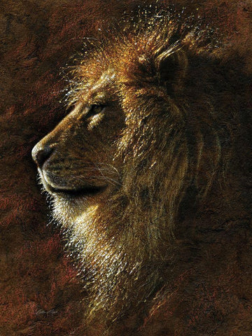 His Majesty White Modern Wood Framed Art Print with Double Matting by Bogle, Collin