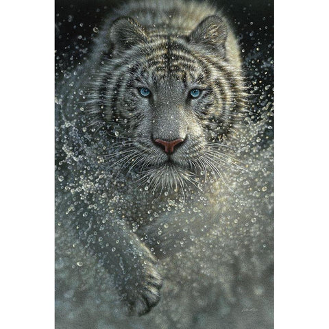 White Tiger - West and Wild White Modern Wood Framed Art Print by Bogle, Collin