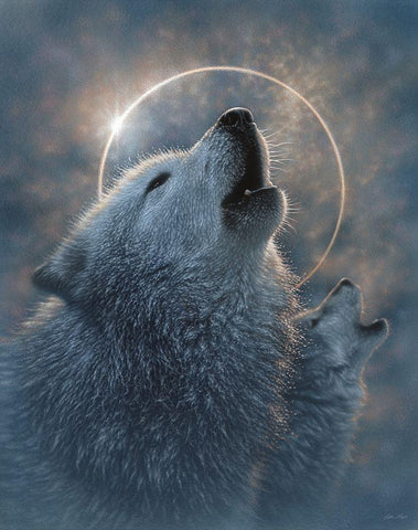 Wolf Eclipse White Modern Wood Framed Art Print with Double Matting by Bogle, Collin