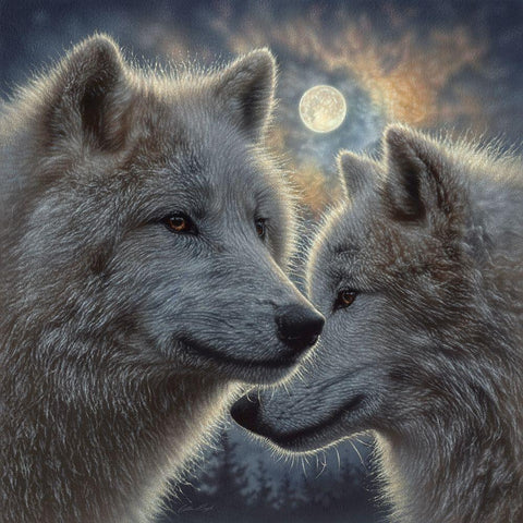 Moonlight Wolf Mates White Modern Wood Framed Art Print with Double Matting by Bogle, Collin