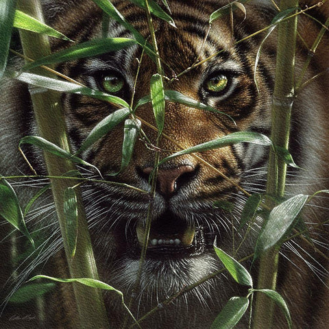 Hungry Eyes Black Ornate Wood Framed Art Print with Double Matting by Bogle, Collin
