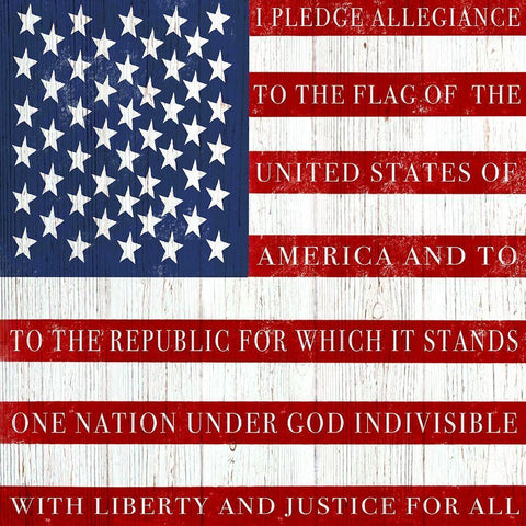 Pledge Allegiance White Modern Wood Framed Art Print with Double Matting by Tyndall, Elizabeth
