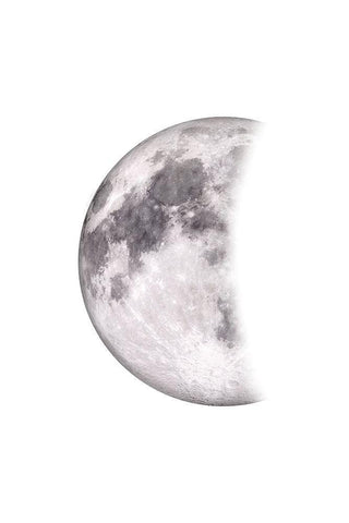 Moon Phases II White Modern Wood Framed Art Print with Double Matting by JJ Design House