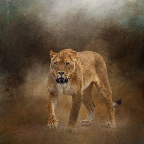 Roadblock Black Modern Wood Framed Art Print with Double Matting by Parker, Kelley