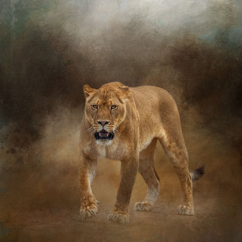 Roadblock White Modern Wood Framed Art Print with Double Matting by Parker, Kelley