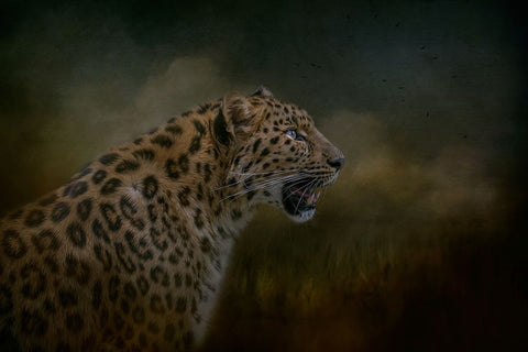 Watchful Waiting Black Ornate Wood Framed Art Print with Double Matting by Parker, Kelley