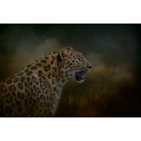 Watchful Waiting Black Modern Wood Framed Art Print by Parker, Kelley