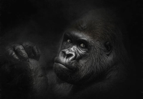 The King Watches Black Ornate Wood Framed Art Print with Double Matting by Parker, Kelley