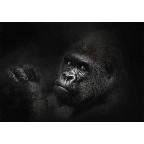 The King Watches Black Modern Wood Framed Art Print by Parker, Kelley