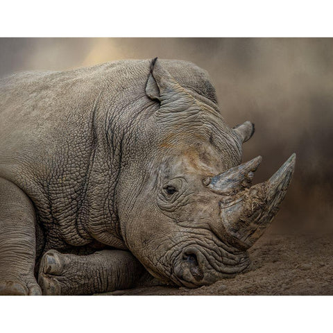 Resting Giant Gold Ornate Wood Framed Art Print with Double Matting by Parker, Kelley