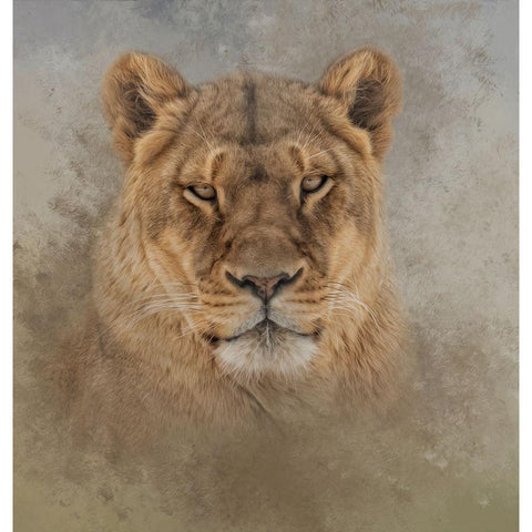 An Intense Star White Modern Wood Framed Art Print by Parker, Kelley