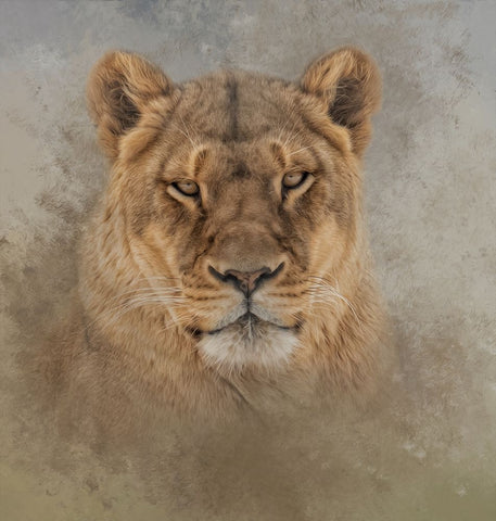 An Intense Star Black Ornate Wood Framed Art Print with Double Matting by Parker, Kelley