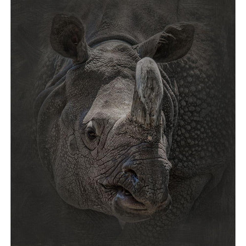 Man with an Attitude Black Modern Wood Framed Art Print with Double Matting by Parker, Kelley