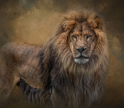 In His Prime Black Ornate Wood Framed Art Print with Double Matting by Parker, Kelley