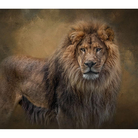 In His Prime Black Modern Wood Framed Art Print by Parker, Kelley