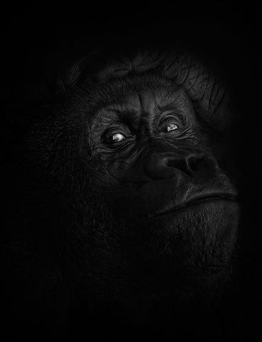 Peaceful Giant Black Ornate Wood Framed Art Print with Double Matting by Parker, Kelley