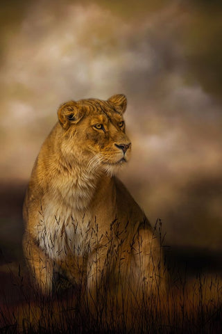 Lone Huntress White Modern Wood Framed Art Print with Double Matting by Parker, Kelley