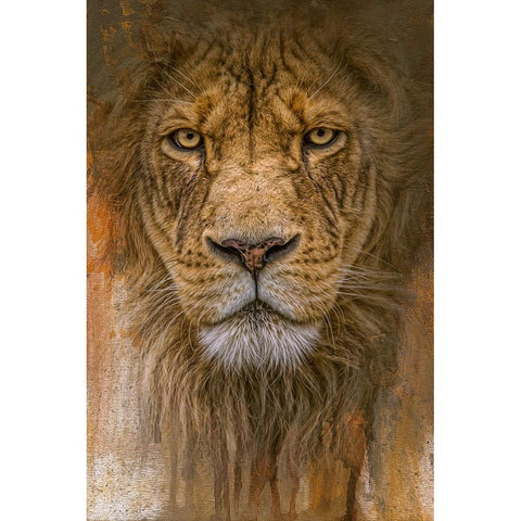 Heart of the Lion Black Modern Wood Framed Art Print by Parker, Kelley