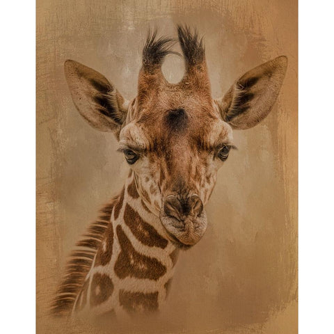 Gentle Giant Gold Ornate Wood Framed Art Print with Double Matting by Parker, Kelley