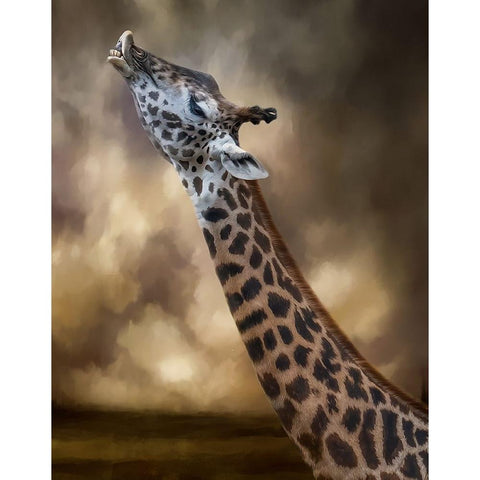 Stretch Gold Ornate Wood Framed Art Print with Double Matting by Parker, Kelley