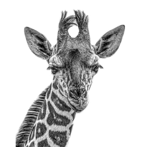 Young One Black Modern Wood Framed Art Print by Parker, Kelley