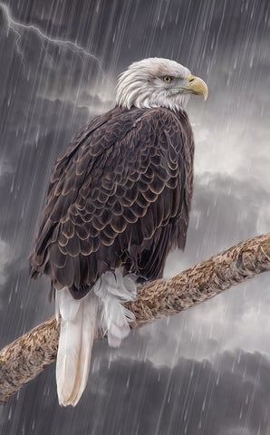 Defiance Black Ornate Wood Framed Art Print with Double Matting by Parker, Kelley