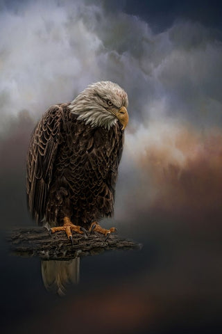 Defying the Storm White Modern Wood Framed Art Print with Double Matting by Parker, Kelley