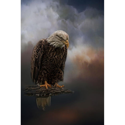 Defying the Storm Black Modern Wood Framed Art Print by Parker, Kelley