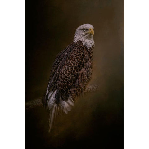 Freedom Flyer Black Modern Wood Framed Art Print with Double Matting by Parker, Kelley