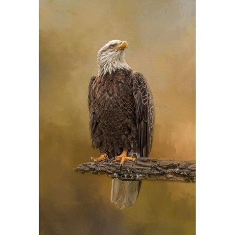 Peace Seeker White Modern Wood Framed Art Print by Parker, Kelley