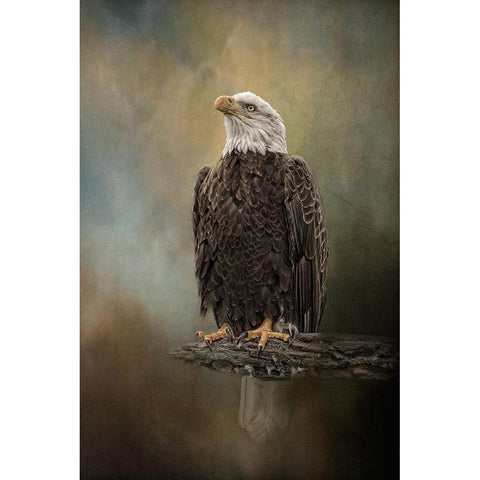 Skyward Spirit Black Modern Wood Framed Art Print with Double Matting by Parker, Kelley