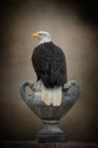 Stone Guardian White Modern Wood Framed Art Print with Double Matting by Parker, Kelley