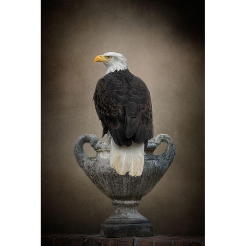 Stone Guardian Black Modern Wood Framed Art Print with Double Matting by Parker, Kelley